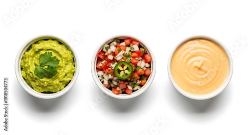 Traditional Mexican dips (guacamole, pico de gallo, queso) isolated overhead.