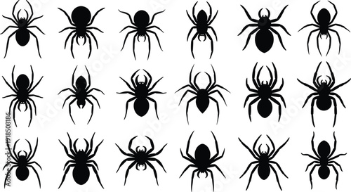 Black spider silhouette icon set, creepy crawling arachnid poses collection, halloween insect symbols, scary wildlife elements, minimalist flat vector illustration isolated on white background