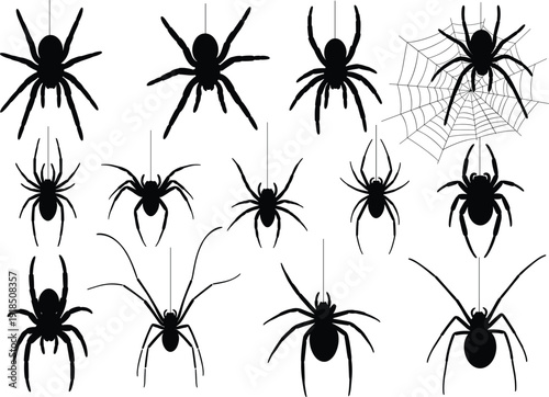 Black spider silhouettes vector collection, tarantula and web spiders with hanging threads, creepy Halloween insect illustration design, isolated on white background for decoration