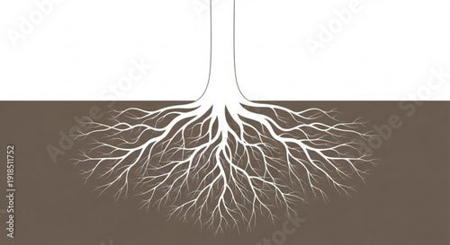 Detailed illustration of tree roots spreading underground in soil with brown earth and white background