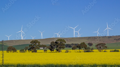 Wind turbines and Canola Fields; South Australia