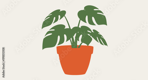 Potted Monstera Deliciosa Plant with Green Leaves.