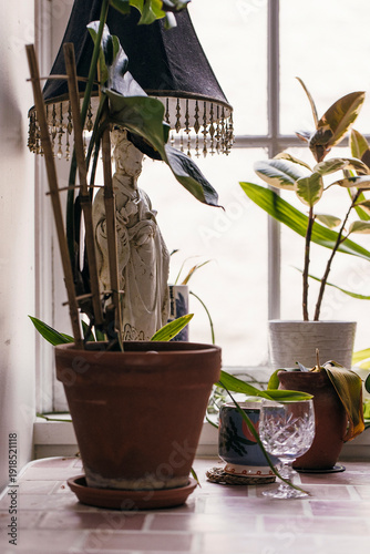 flower pots on the windowsill