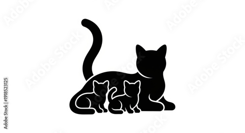 black and white cat