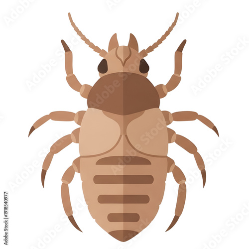 A bed bug or parasite insect