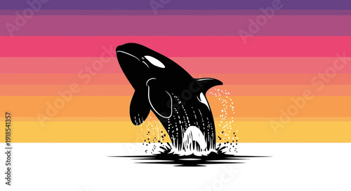 Orca whale jumping out of the ocean water with splashes, viewed from the side against a colorful gradient background