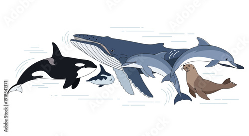 Diverse marine animals including orca, whale, dolphin, seal, and fish swim together in the ocean viewed from the side.