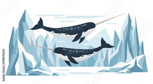 Two Narwhals Swimming in the Arctic Ocean among Icebergs from a Front View