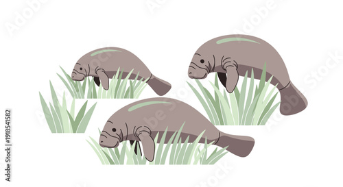 Manatees grazing on aquatic plants in a serene aquatic environment from a side viewpoint