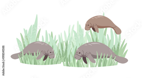 Manatees grazing in a serene aquatic environment with lush green vegetation from a side viewpoint