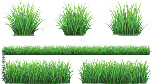 Green grass collection vector set with lawn tufts and seamless meadow borders isolated illustration
