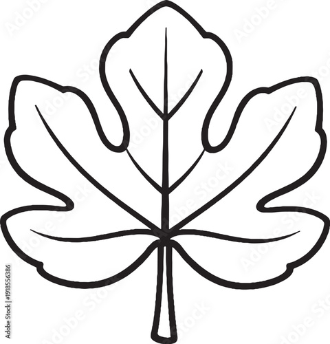 Fig leaf line art illustration deep lobed botanical leaf black and white