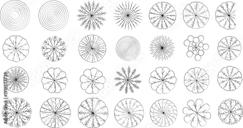 Tree top view set vector, forest plan collection, detailed tree canopy blueprint, landscape design elements, isolated nature illustration pack