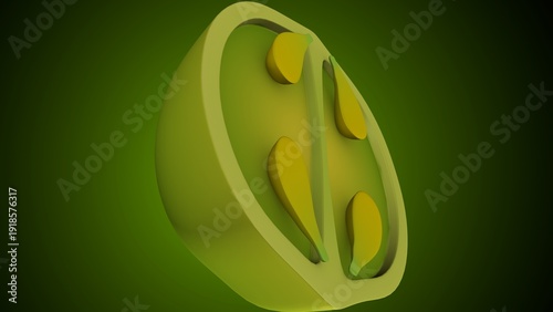 Lemon inner structure anatomy. 3d illustrations