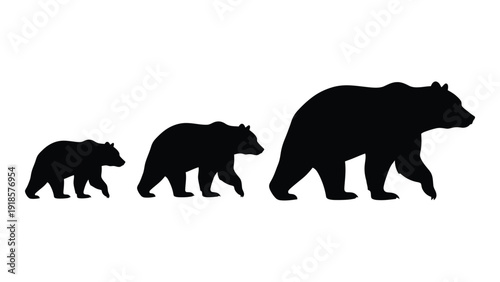 Silhouettes of bears from smallest to largest showcasing growth stages. isolated on white background, Vector