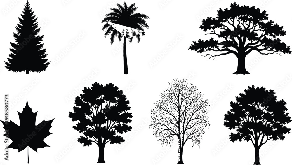 Fototapeta premium Black silhouette collection of diverse trees and maple leaf including pine palm oak and birch isolated on white background for nature vector design
