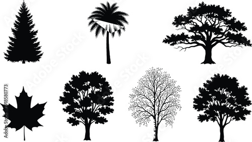 Black silhouette collection of diverse trees and maple leaf including pine palm oak and birch isolated on white background for nature vector design