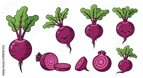 Cute Beetroot Character and Vegetable Set with Whole, Sliced, and Cross-Section Views