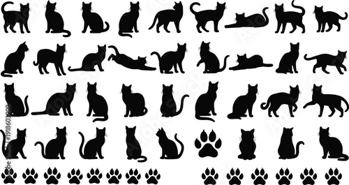 Large set of black cat silhouette icons and paw prints in various poses isolated on white background for pet design