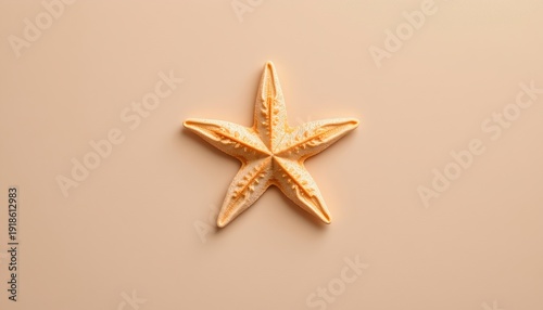 Delicate starfish minimalist setting photography soft tones close-up nature