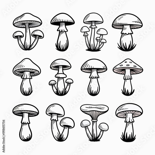 Collection of hand drawn mushroom illustrations in black and white