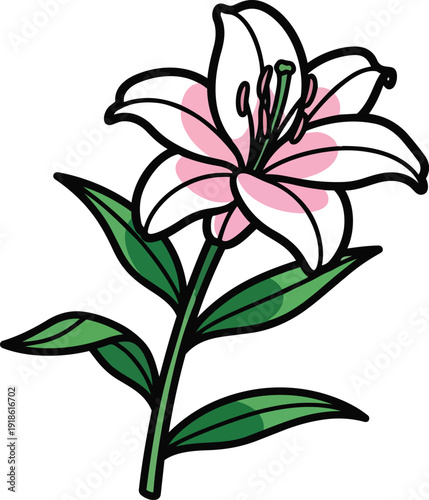 Rose Vector Illustration