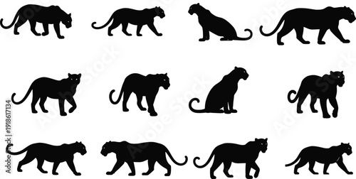 Collection of panther silhouettes in various poses, sleek wild feline predator vector set for wildlife design, mascot branding, jungle animal symbols isolated on white