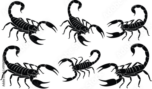 Collection of Black Scorpion Silhouettes in Various Poses and Angles Isolated on White Background for Tattoo Design Halloween Decor and Predator Concept Graphics