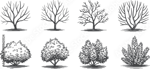 Hand drawn tree and bush silhouette vector set featuring leafless trees and leafy shrubs isolated on white background for landscape design elements