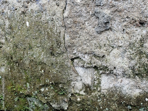 Old walls covered in moss look very artistic as a background.