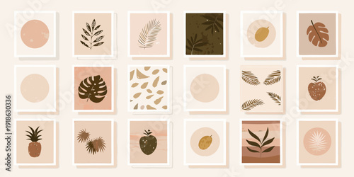 A collection of minimalist botanical prints arranged in a grid layout