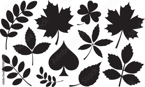 Leaf Lore Silhouette Vector Pack