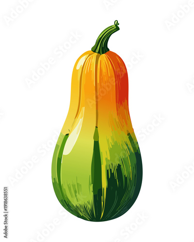 Striped green gourd or squash vegetable for autumn harvest themes and healthy organic vegetable market promotion and design - Vector Illustration