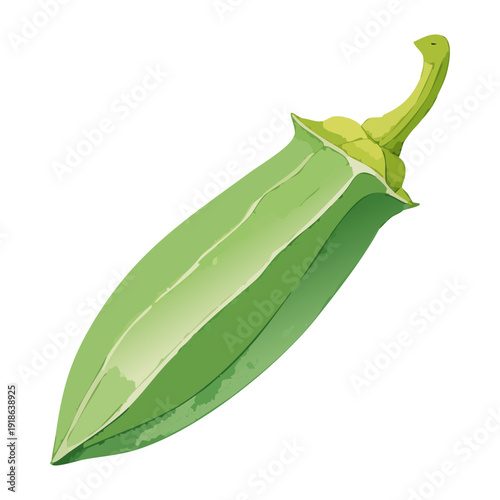 Organic green ladyfinger okra vegetable for healthy cooking and fresh farm produce market and culinary design elements - Vector Illustration