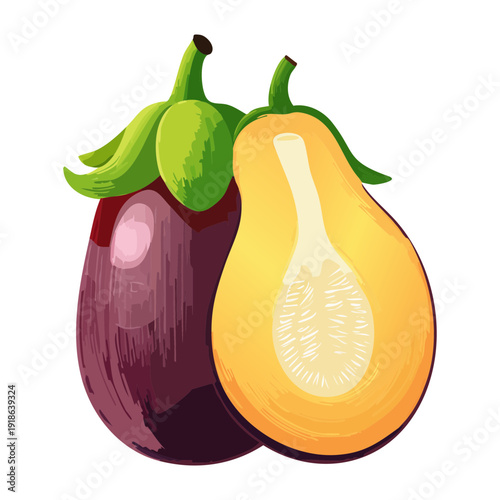 Two purple eggplants whole and sliced for mediterranean cuisine and organic farm produce market and healthy diet - Vector Illustration