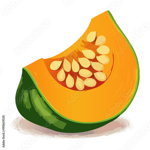 Crescent slice of orange pumpkin with green skin showing detailed texture for healthy cooking and autumn harvest - Vector Illustration