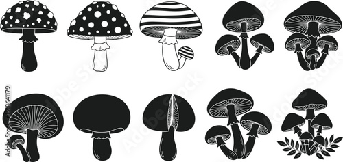 Mushroom silhouette set with wild fungus icons and fly agaric shapes isolated on white background for autumn nature vector illustration,