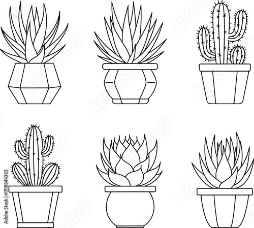 A collection of potted succulents and cacti rendered in a minimalist line art style ideal for botanical illustrations home decor or modern web design elements