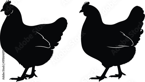 Two chickens silhouette vector illustration, black poultry artwork, farming animal design, traditional agriculture symbol, decorative background pattern