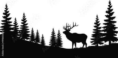 Black silhouette of a majestic elk bull standing in a coniferous pine forest wilderness landscape isolated on white background for outdoors adventure design (24 words)