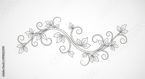 Intricate floral vine design with leaves and swirls on white background for decoration