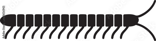 Vector art of a black centipede with many legs is shown, its body curved in an sshape, antennae extended, creating a striking contrast against the white backdrop