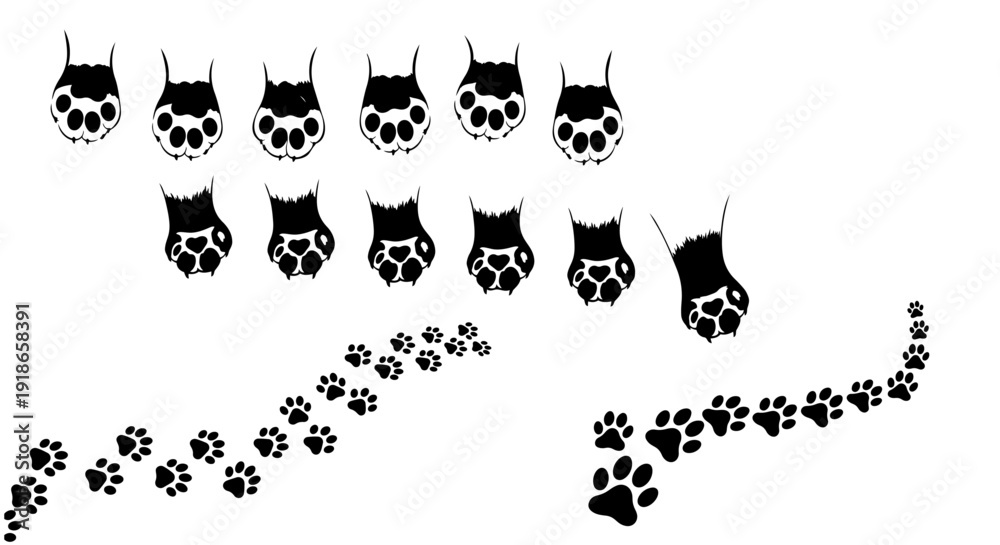 Obraz premium Animal Paw Prints and Claw Marks Vector Set Dog Cat Foot Tracks Collection