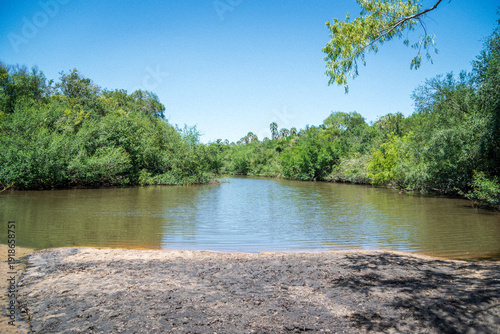 View of a pond from the shore