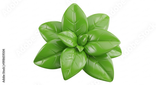 Fresh green basil leaves on white background herb culinary aromatic