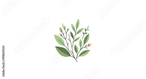 Watercolor illustration of a green leafy branch with small flowers on white background