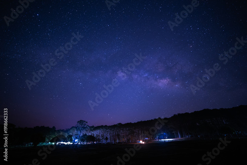 Photos Silhouette of tree with cloud and night sky space background, Starry universe in