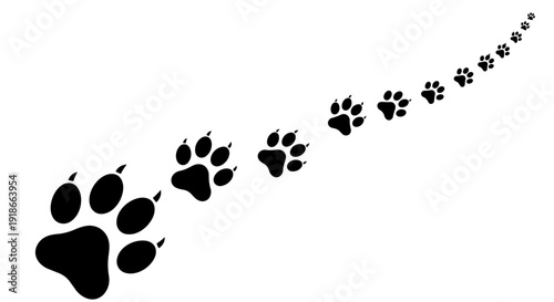 Animal Paw Prints Trail Vector Dog Cat Footprint Path Illustration