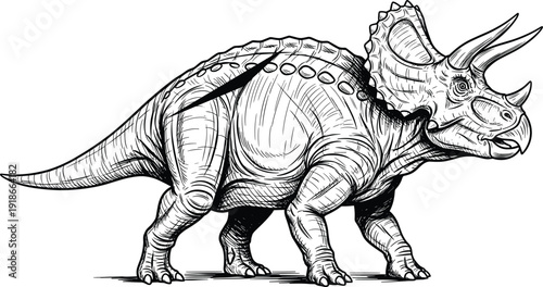 Black and white vector line art illustration of a triceratops dinosaur with three horns and neck frill for prehistoric nature and paleontology branding (