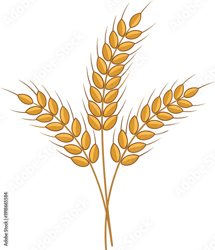 Golden Wheat Ears Stalks Vector Illustration for Organic Food Packaging Bakery Logos Agriculture Harvest Themes and Natural Cereal Grain Product Marketing Graphic Designs